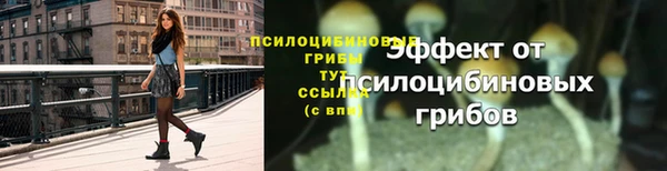 дурь Богданович