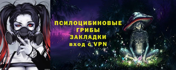 ПСИЛОЦИБИНОВЫЕ ГРИБЫ Беломорск