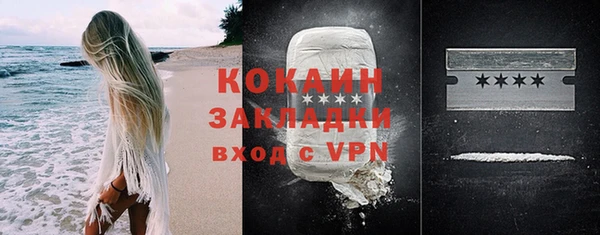 дурь Богданович