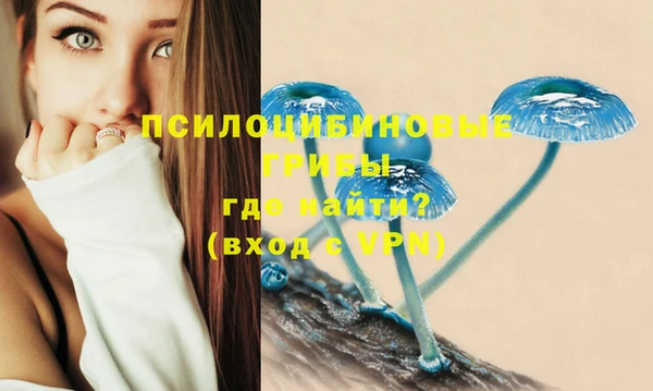 дурь Богданович