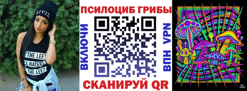 Псилоцибиновые грибы Psilocybine cubensis  где продают   гидра ССЫЛКА  Кирс 